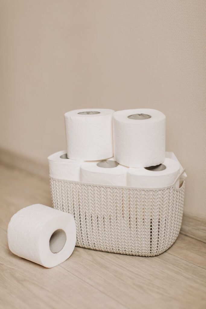 Toilet Paper Pack (6 rolls)